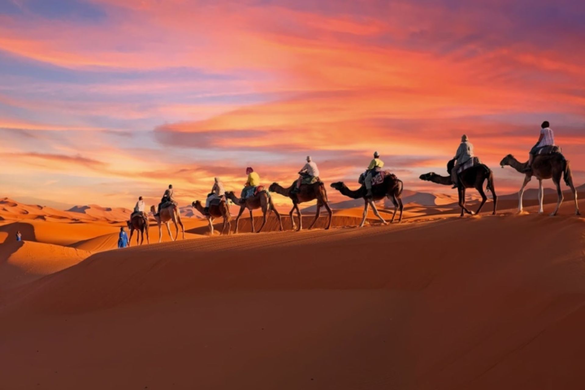 Camel riding in the large Sahara of Africa