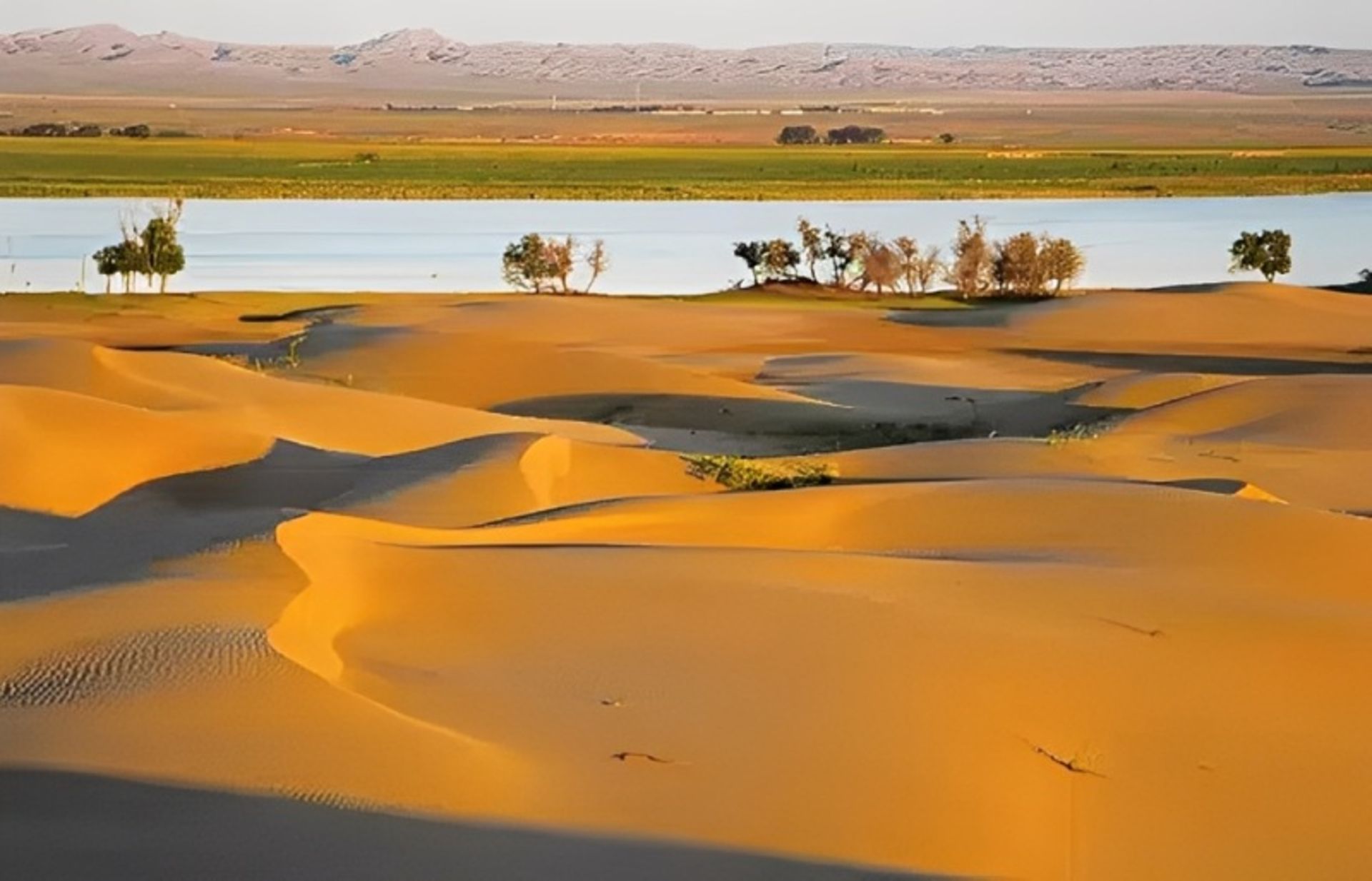 Ulan Boen's desert on the side of water