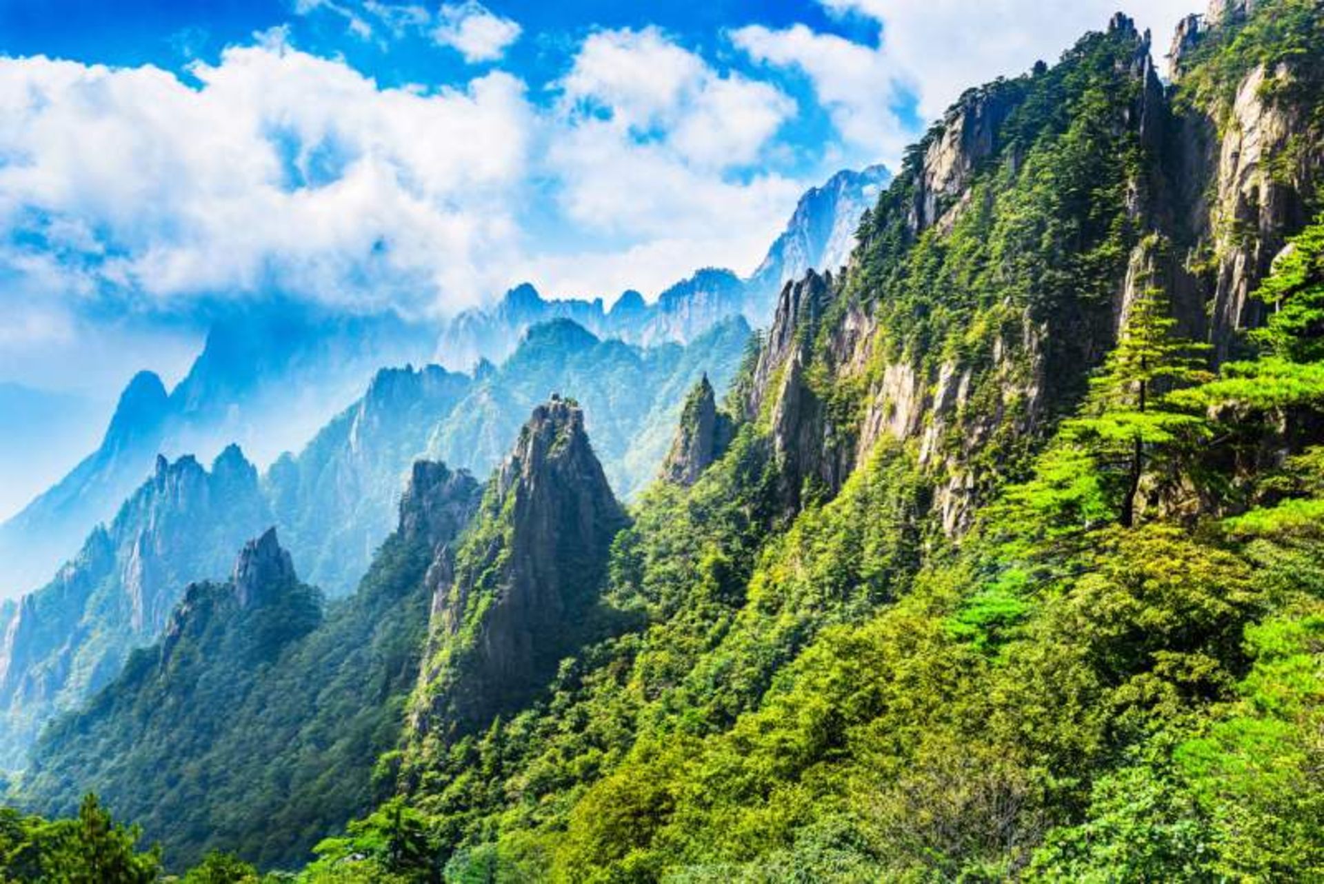 The lush mouain in China