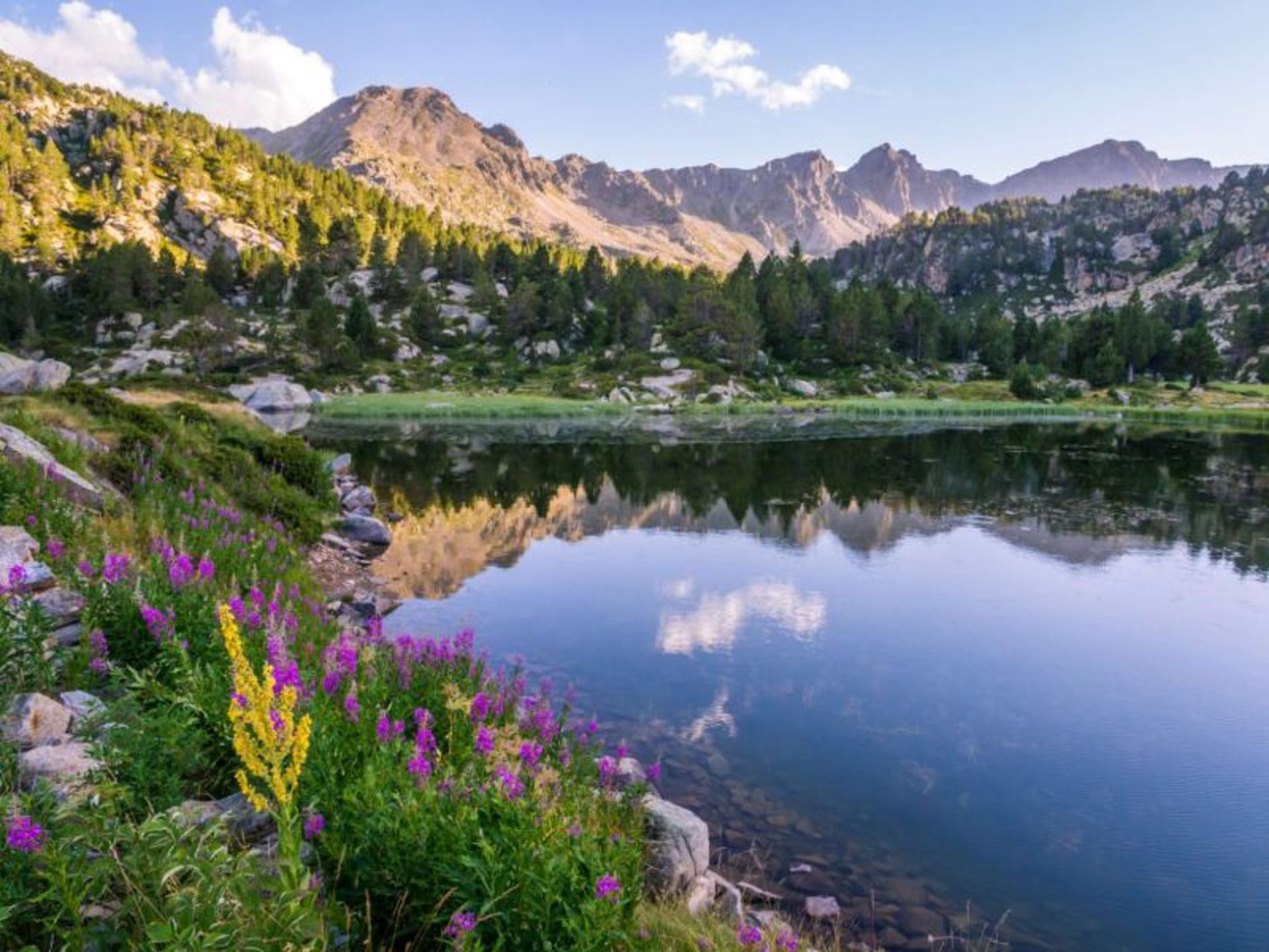Lush nature in the mouain of Andorra
