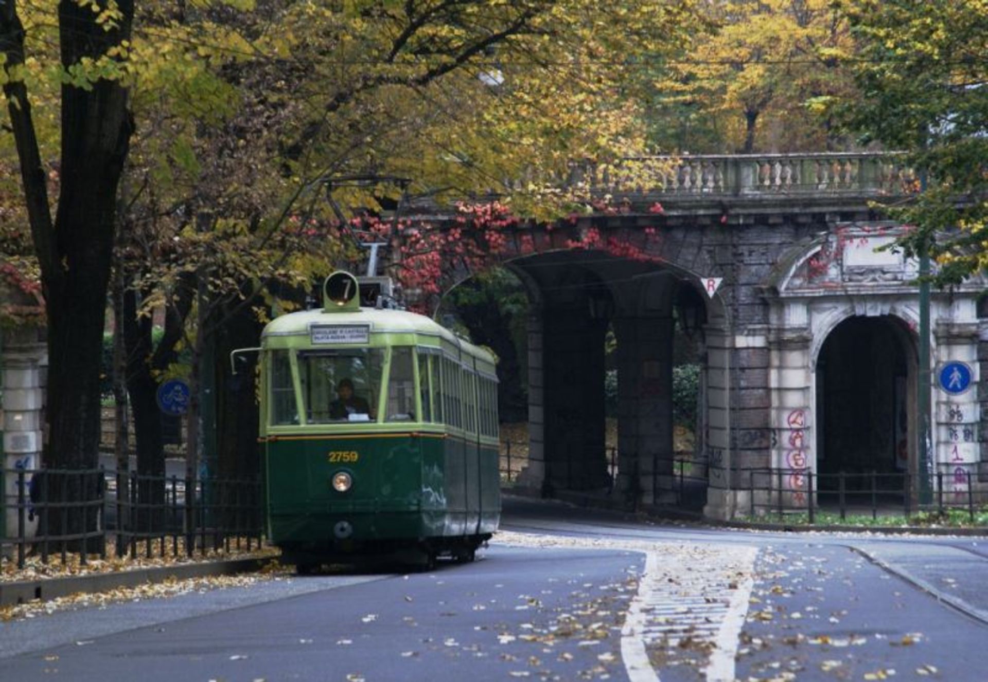 Torin's seven tram under the trees