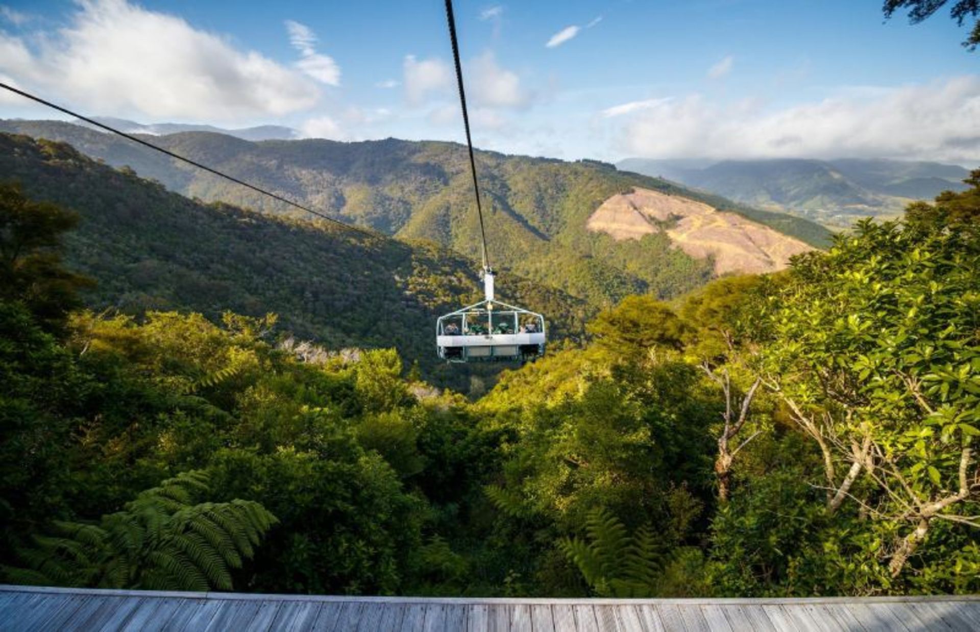 Mouain Forest Zip Line Line Sky 