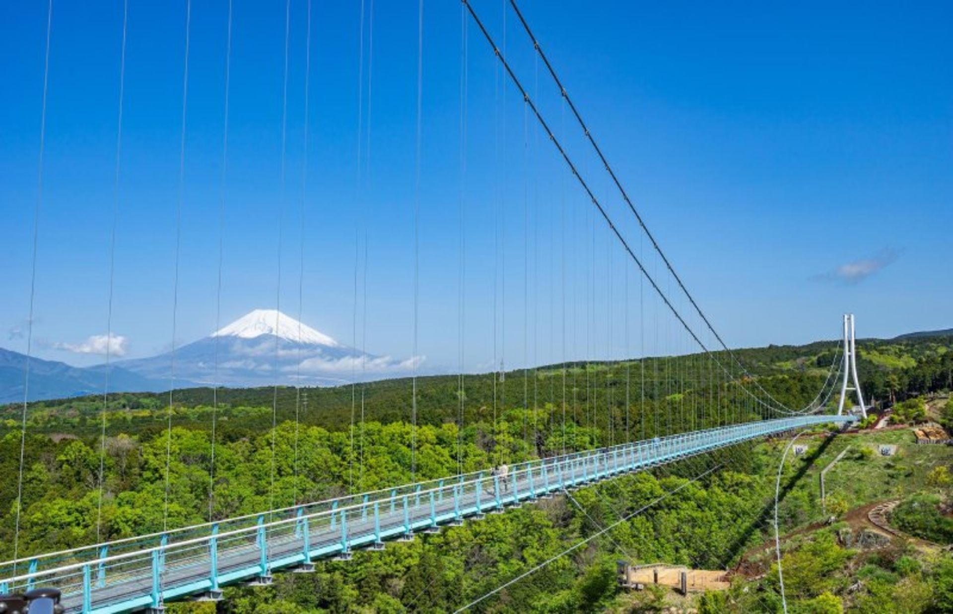 Zip Line Long Zip Slide