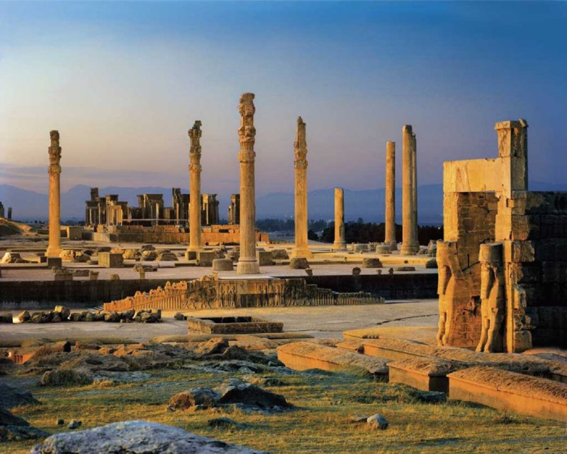 The columns of the Persepolis