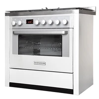 DGC5-2102N Frame Flame Frame