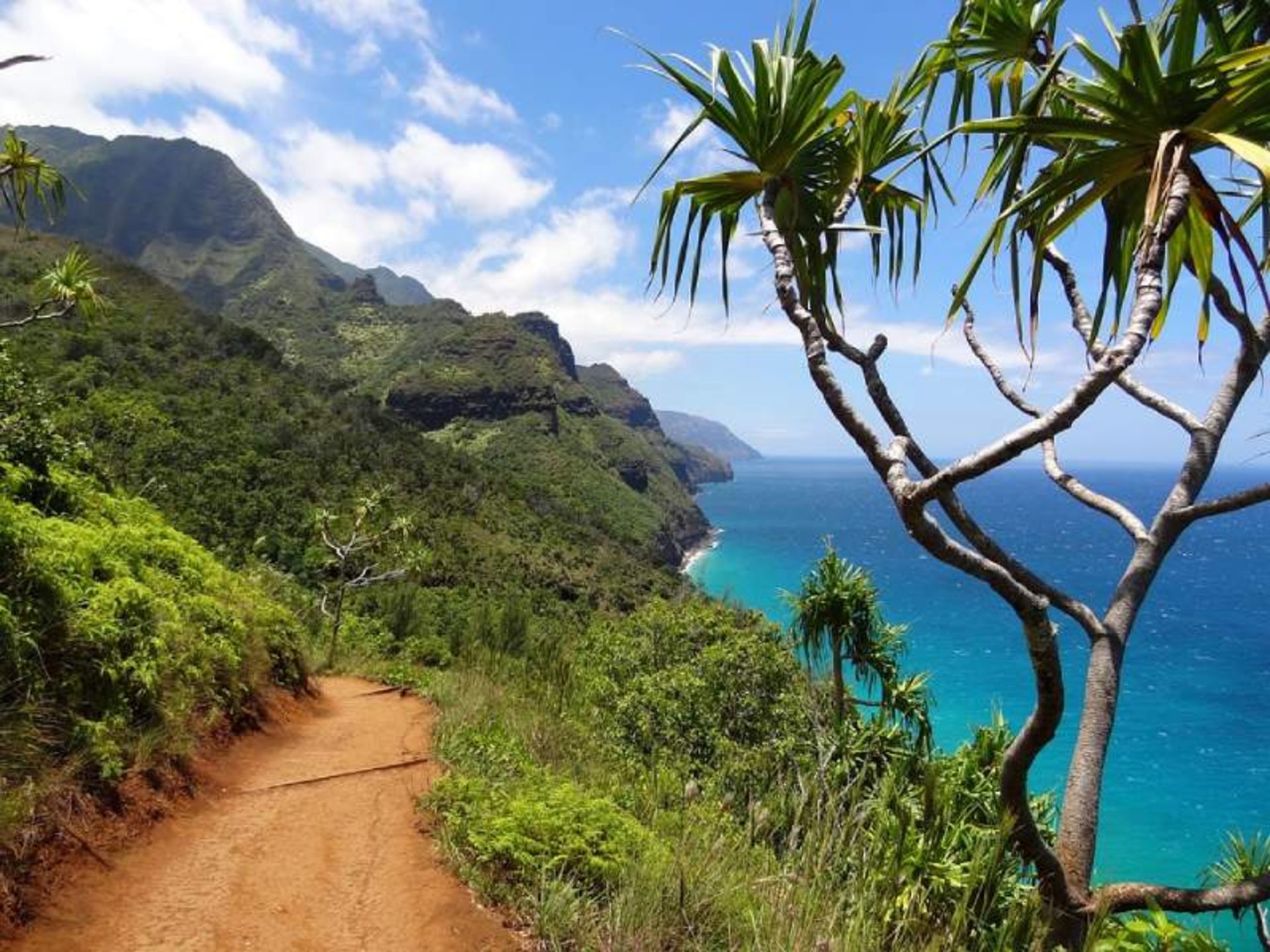 Pacific and the lush nature of the Claelao Walk