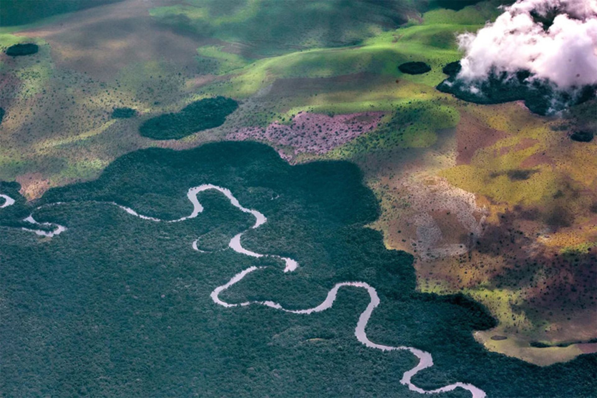 Aerial view of the Congo Basin with a winding river in the rainforest 