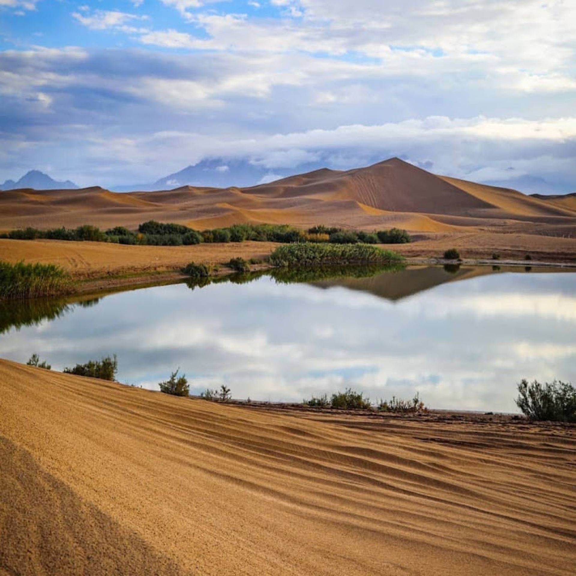 Yazd Wetland Wetland Ponds 