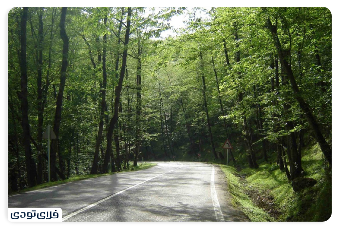 2,000 and 3,000 Mazandaran forest
