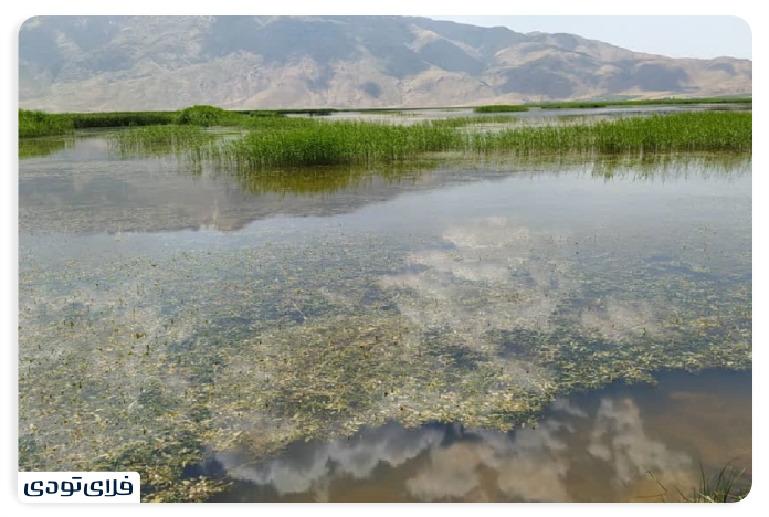 History of Wetland Wetland