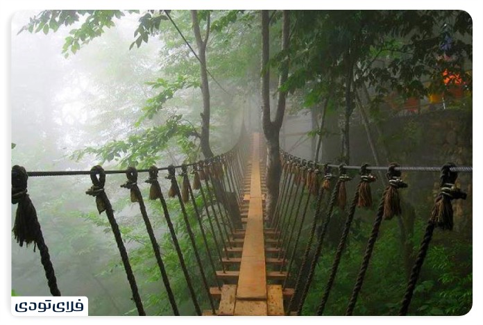 Salvation bridge