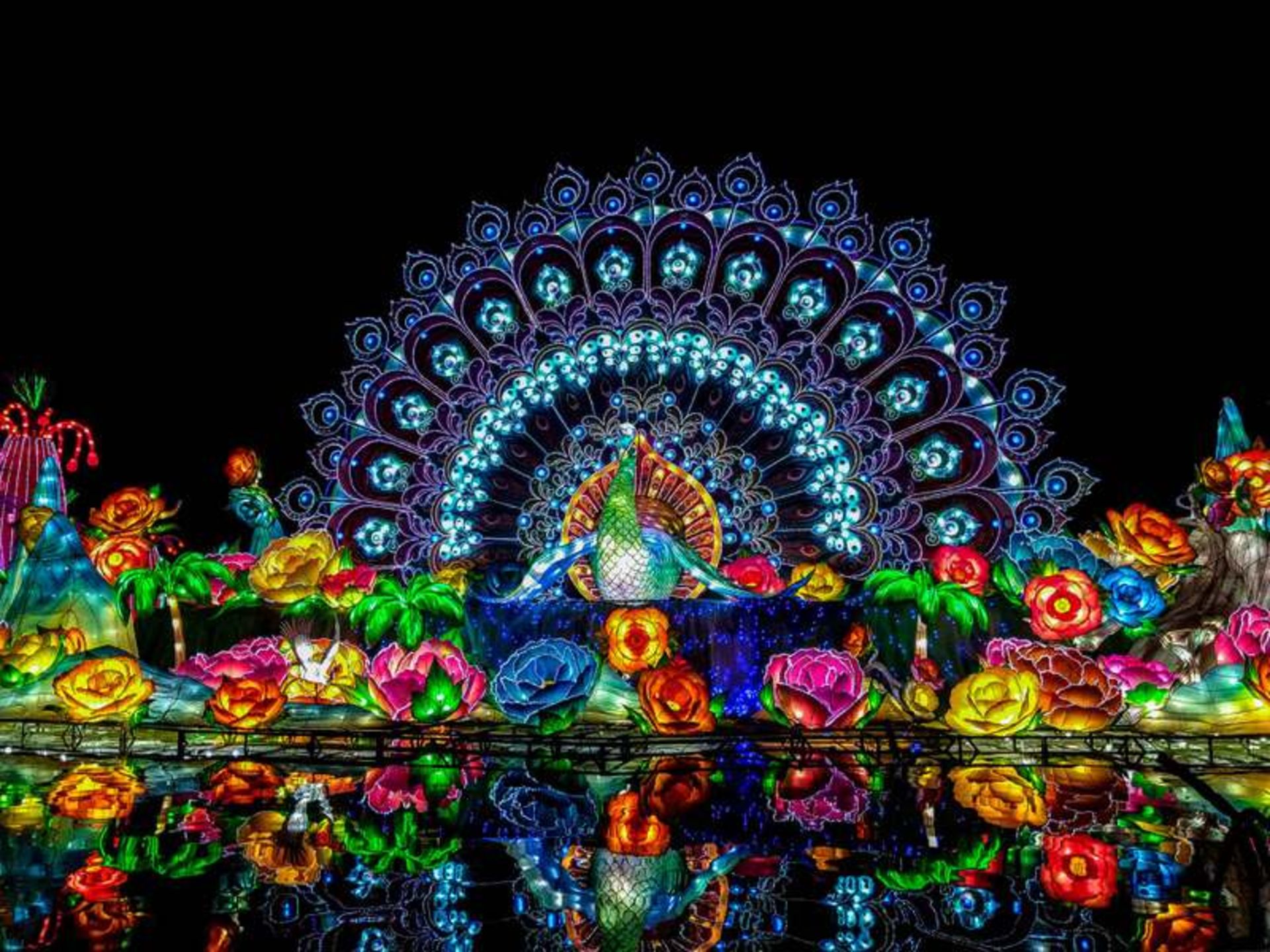 The sculpture of the peacock of the luminous in the Gardens of Dubai's throat