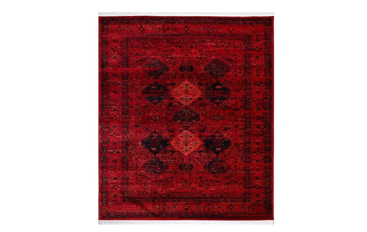 Carpet Carpet Carpet Carpet