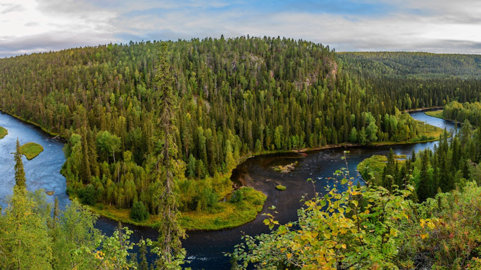 The lush nature of Ulanka National Park in Finland 