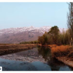 Where is the Wetland Wetland?