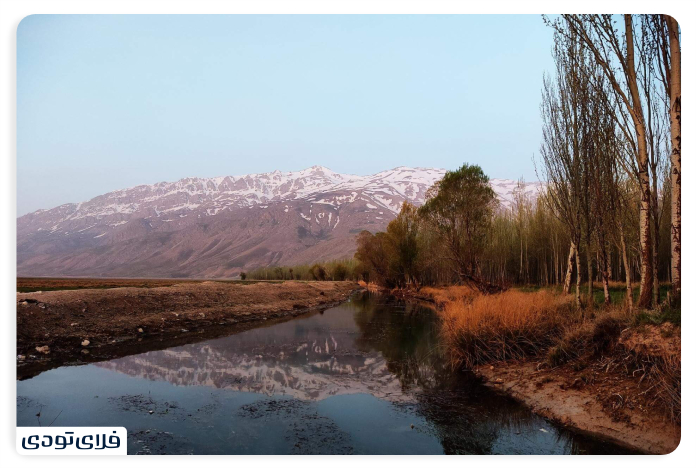Where is the Wetland Wetland?