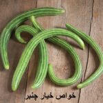 Properties of cucumber
