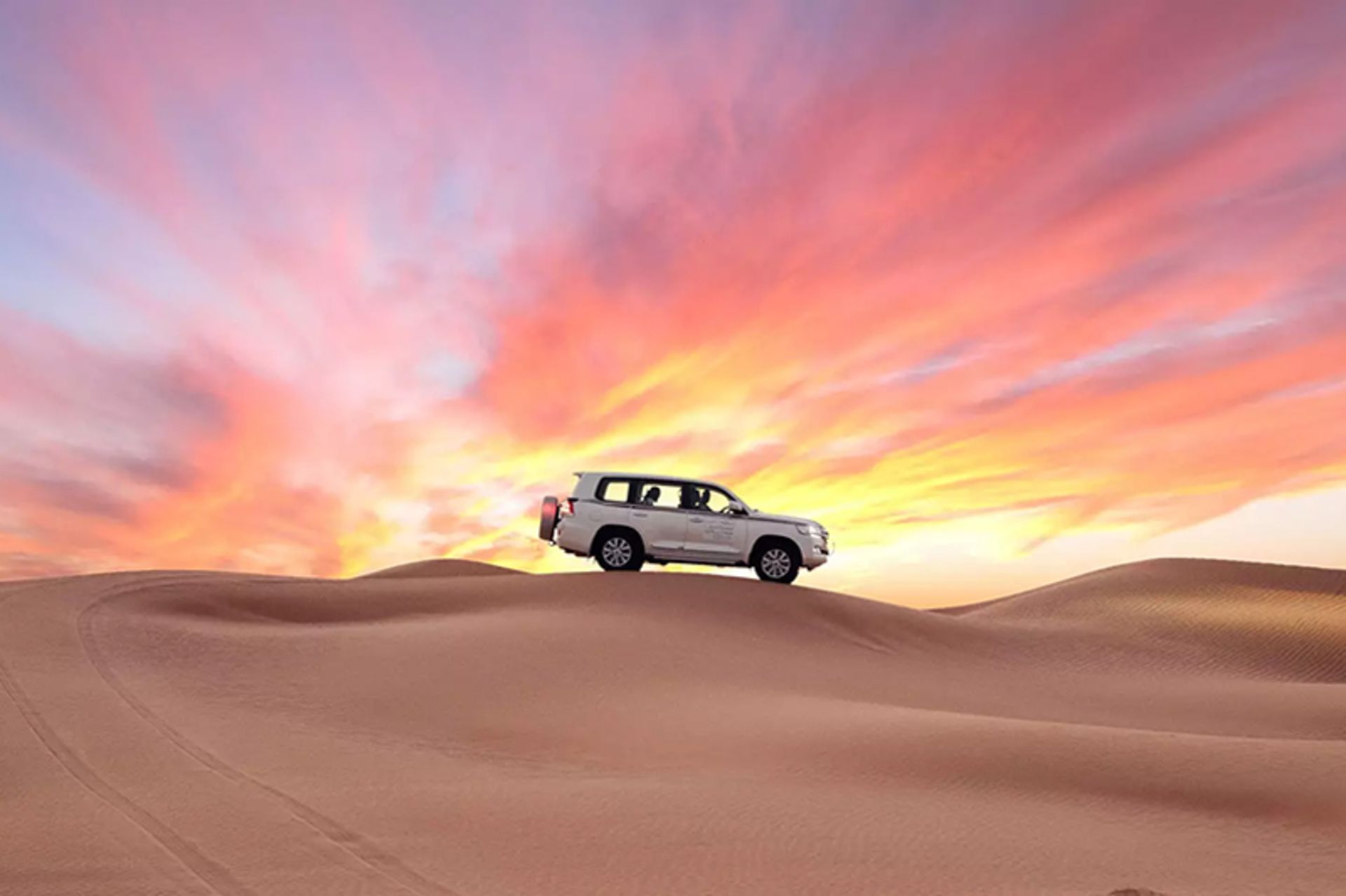 Safari in Abu Dhabi's sandy deserts