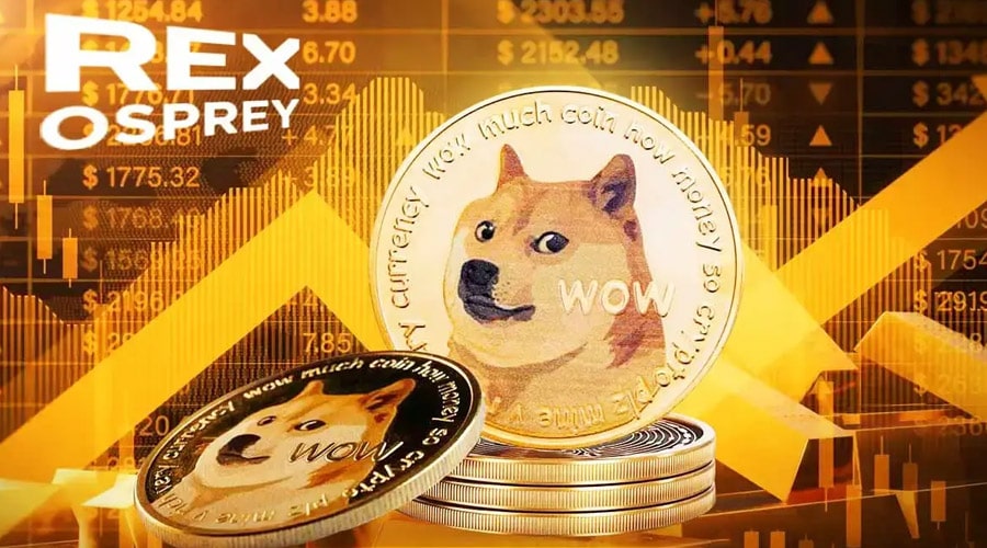 dogecoin-etf-rumors-circle-is-5-coming-for-doge