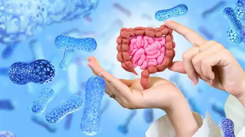 What are the symptoms of an iernal infection