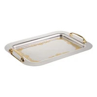 Mana Model Pars Steel Tray 