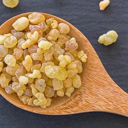 The properties of frankincense smoking for lung infection