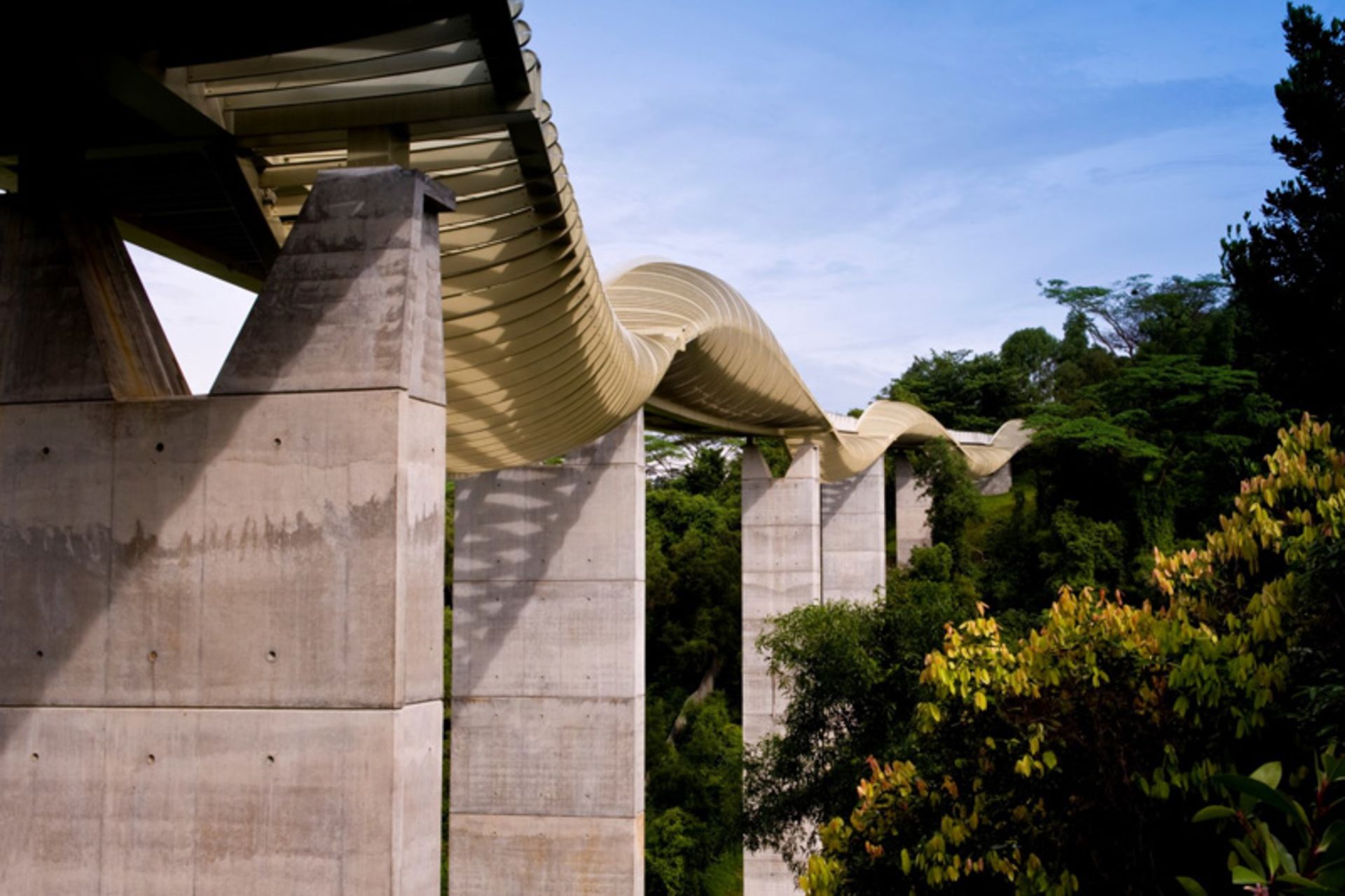 Concrete Bases of the Henderson Vizes Bridge
