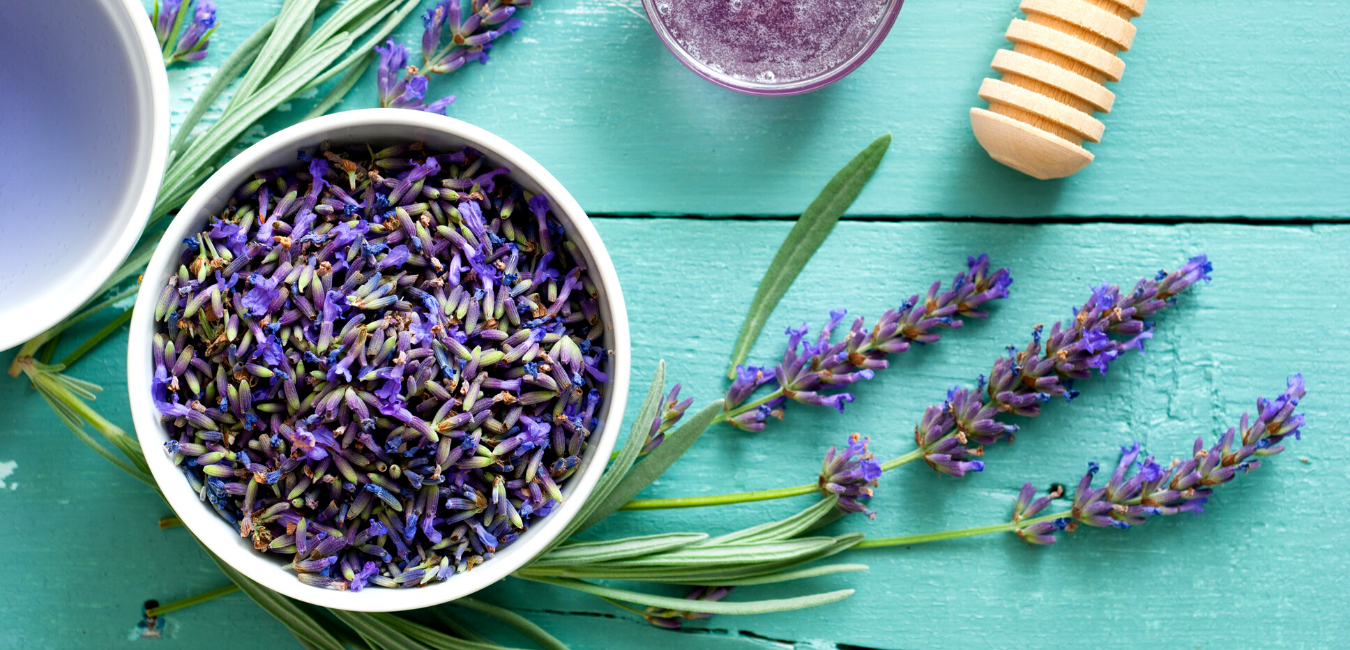 Lavender properties for laziness ovarian