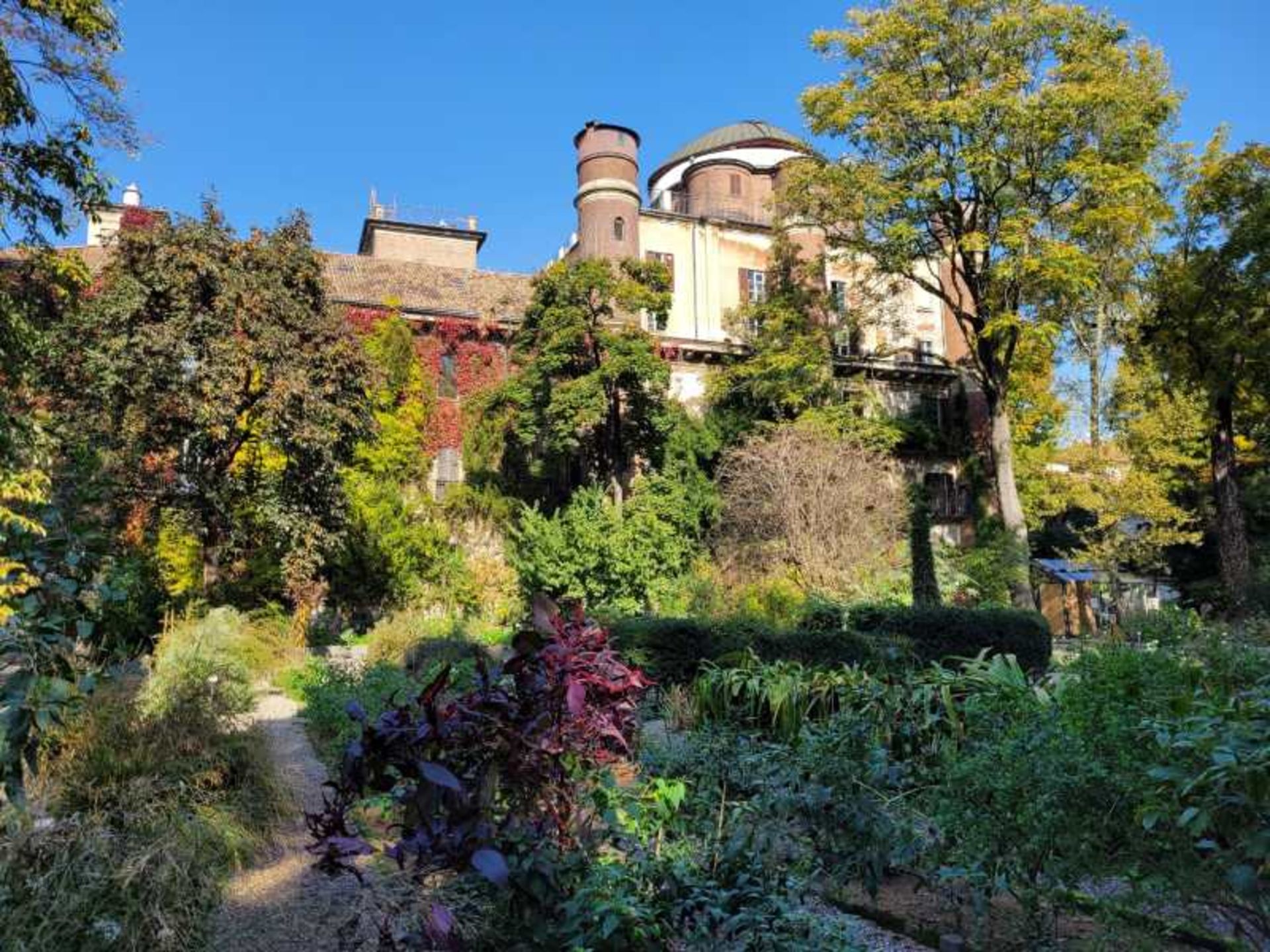 The lush nature of the Botanical Garden in Milan