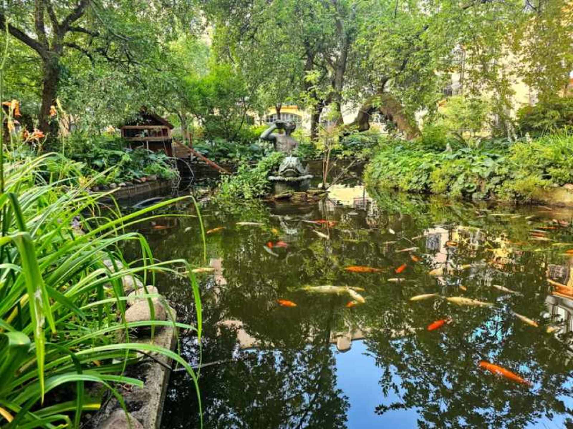 The lush nature of the Ceral Badat Stockholm Garden
