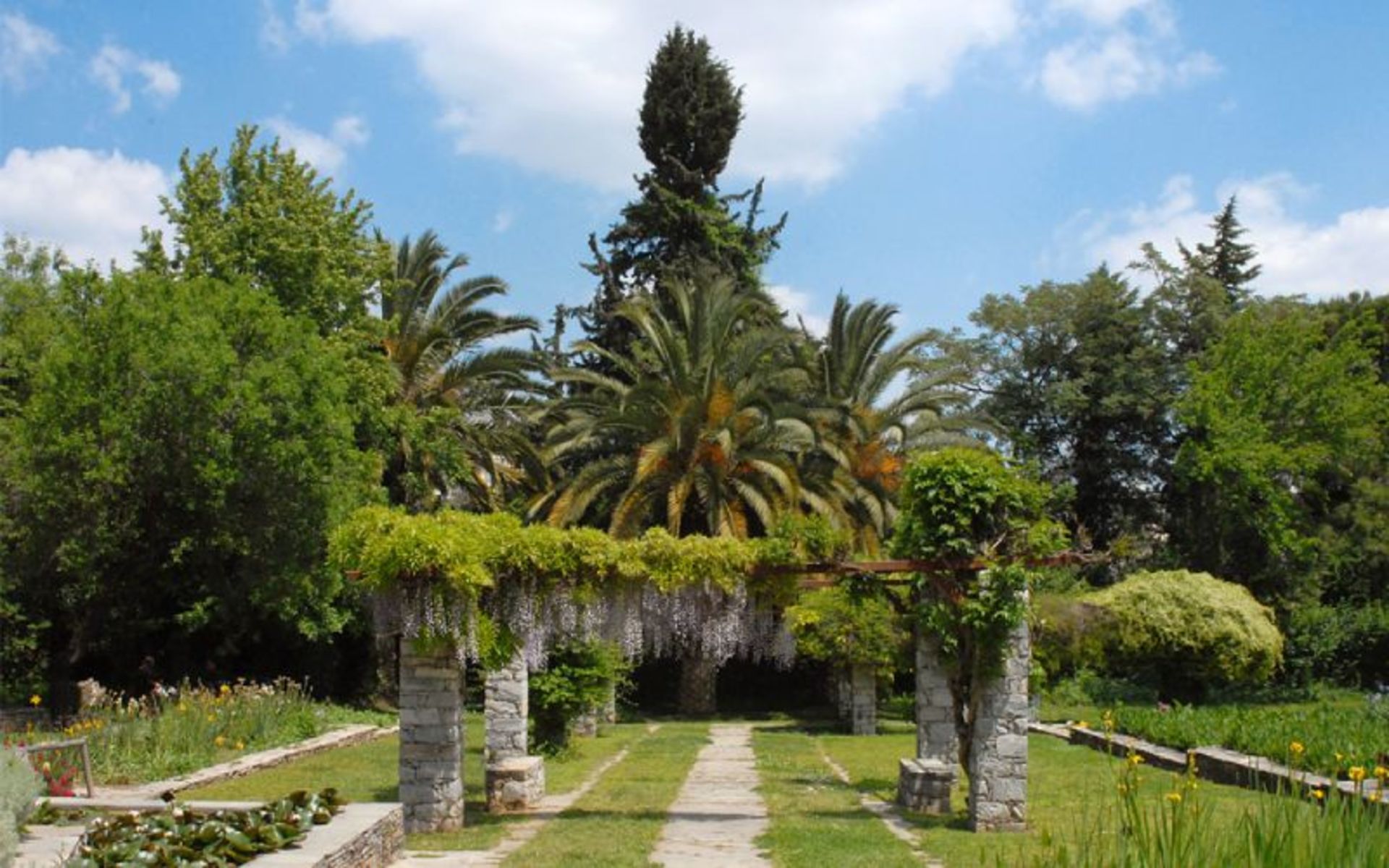 The lush nature of the Dyumidiz Athens Garden
