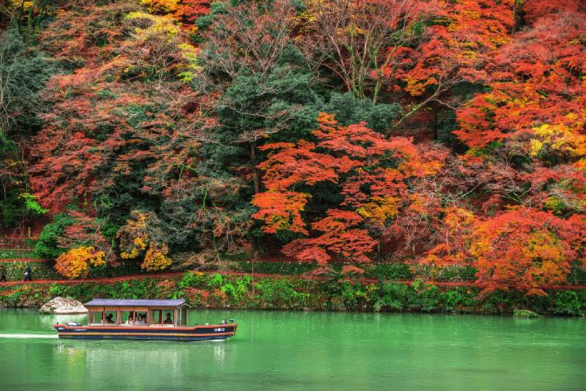 Tourists in the boat watching the autumn nature of Arashiama area of ​​Japan