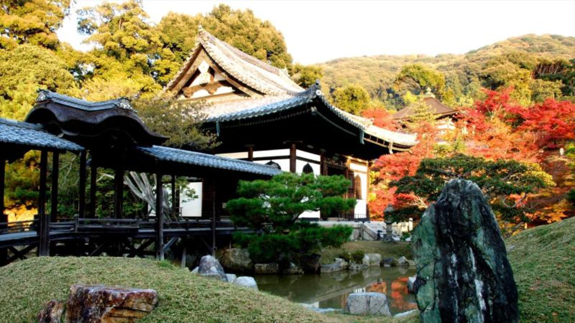 Autumn nature of the Japanese Kodai Temple
