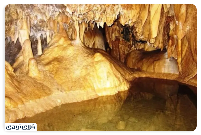 Pleur Village Yellow flower cave