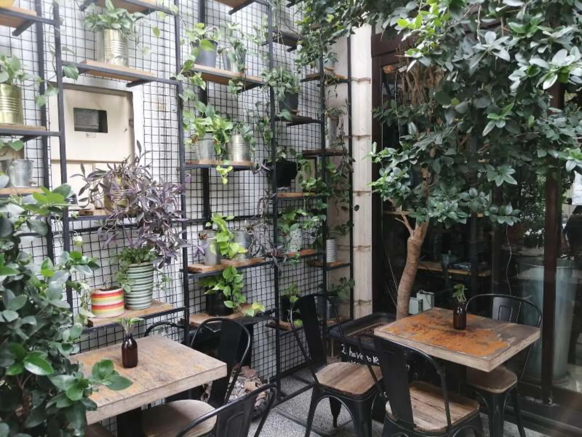 Barzan cafe courtyard