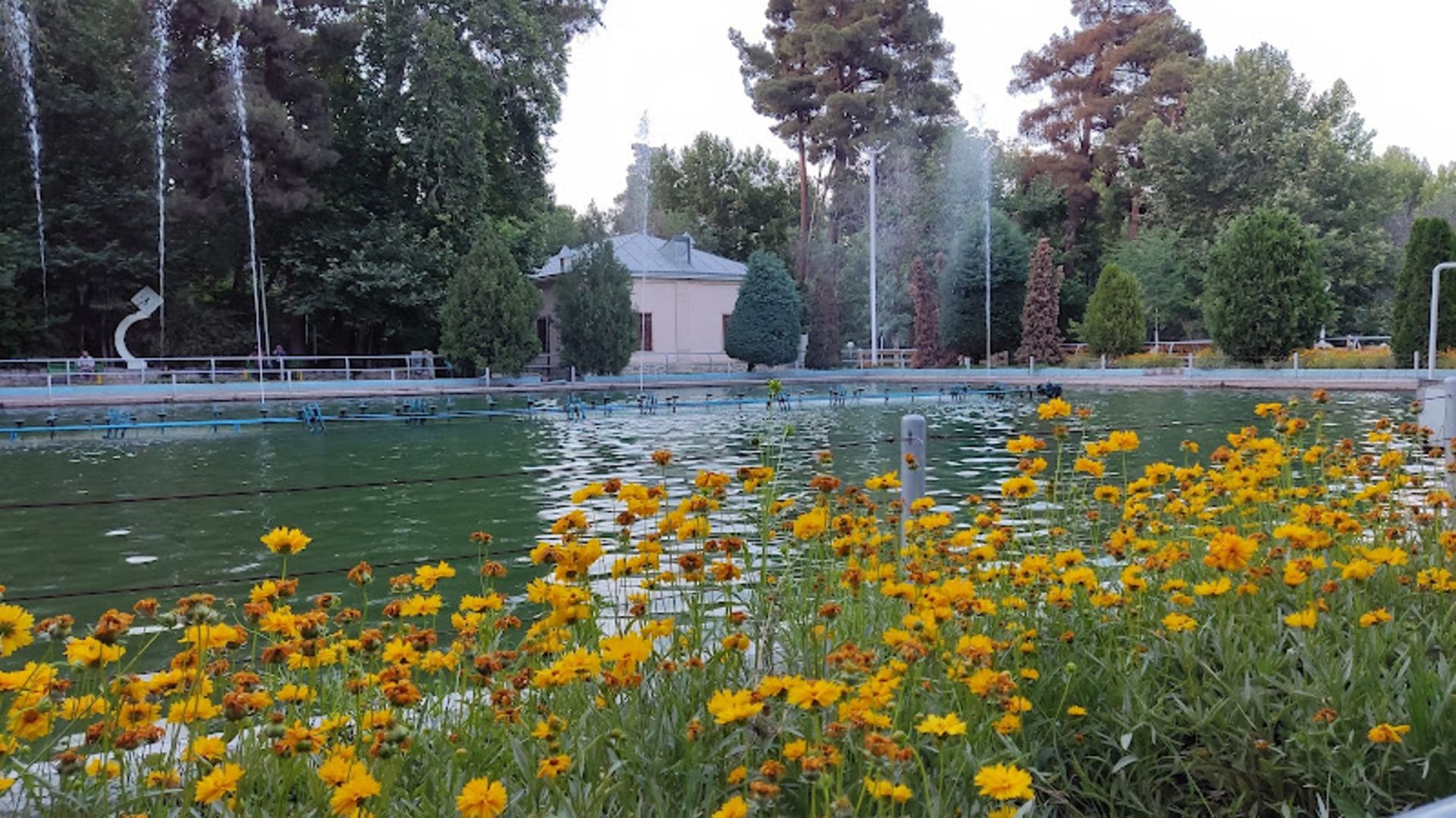 Fouains and yellow flowers in Vakil Abad Park, Mashhad