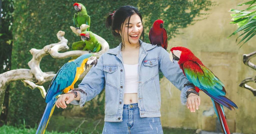 Bali Bird Park