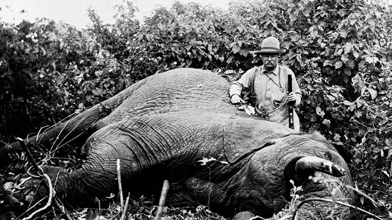 Safari and huing