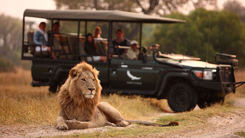 Game viewing Game Viewing
