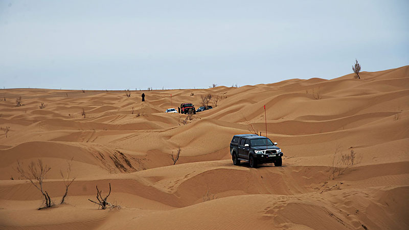 The best safari destinations in Iran