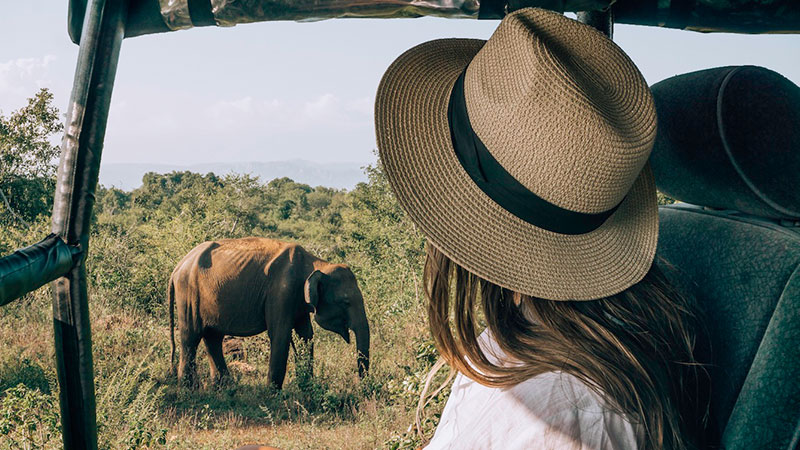 Sri Lanka Safaris