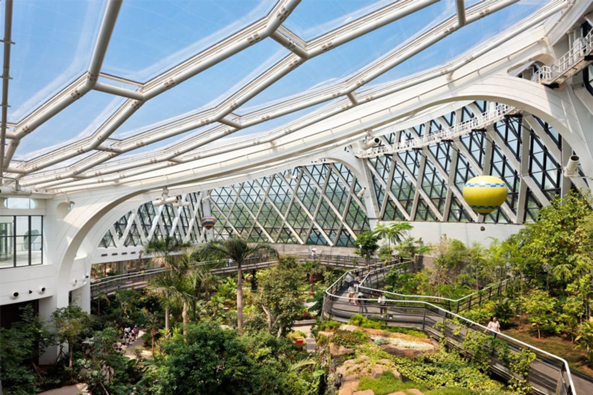 Tropical plas in the Seoul Botanical Garden