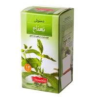 Shahsavand Mi Pencil Demonous