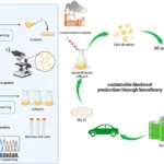 Identifying a new yeast with the ability to produce biofuels and environmental cleansing
