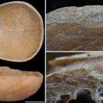 stone age
