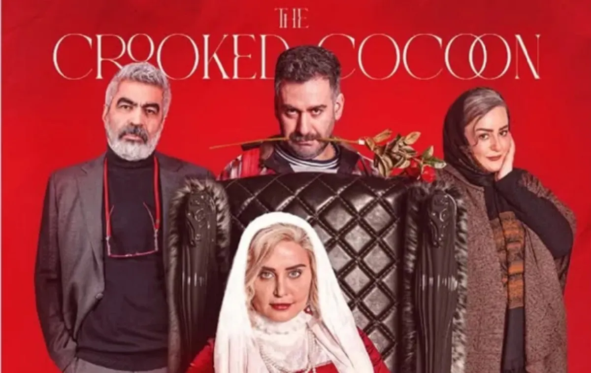 crooked cocoon