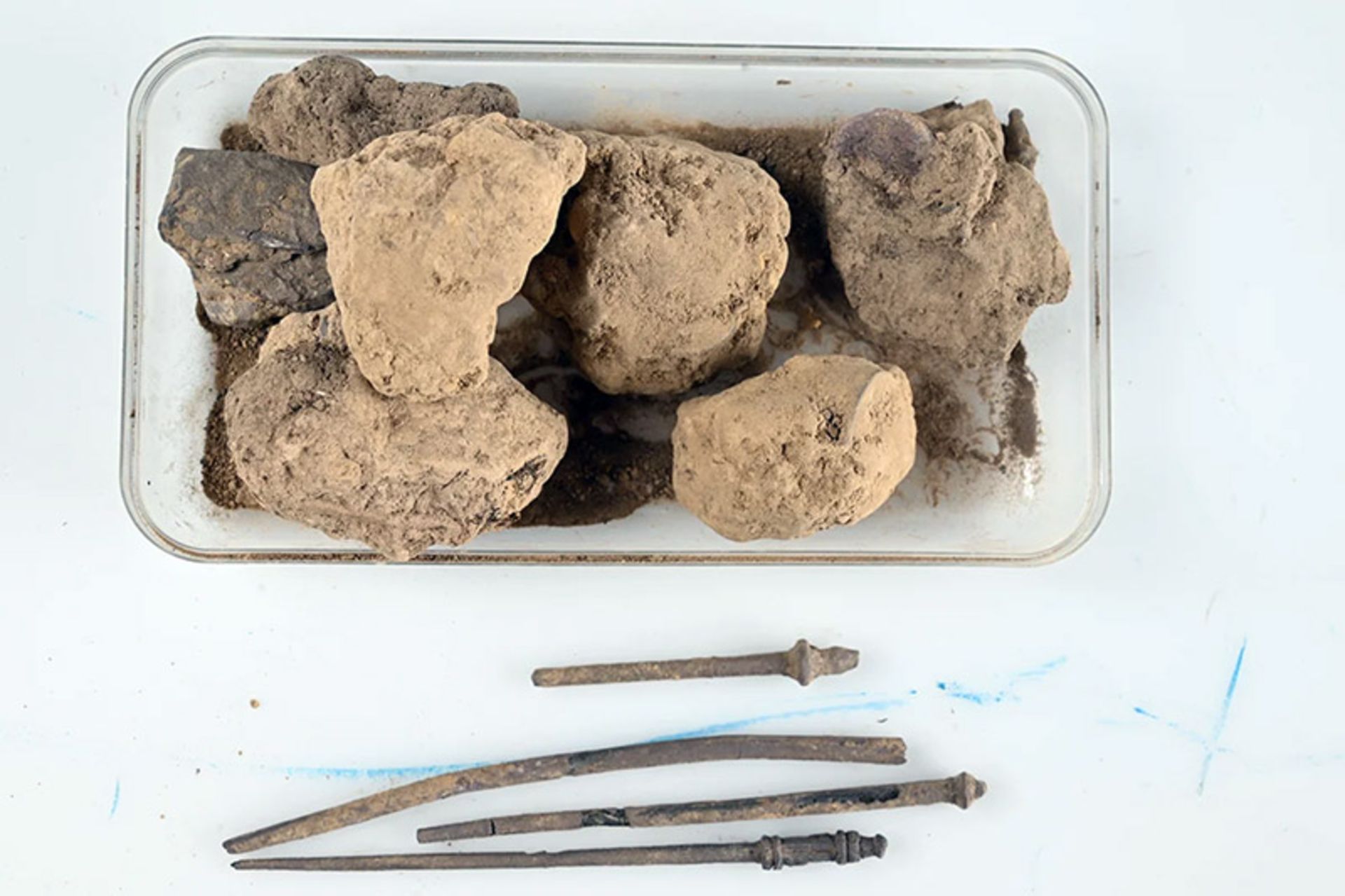 Roman treasure discovery