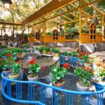 Hossein Farhzad restaurant garden open space