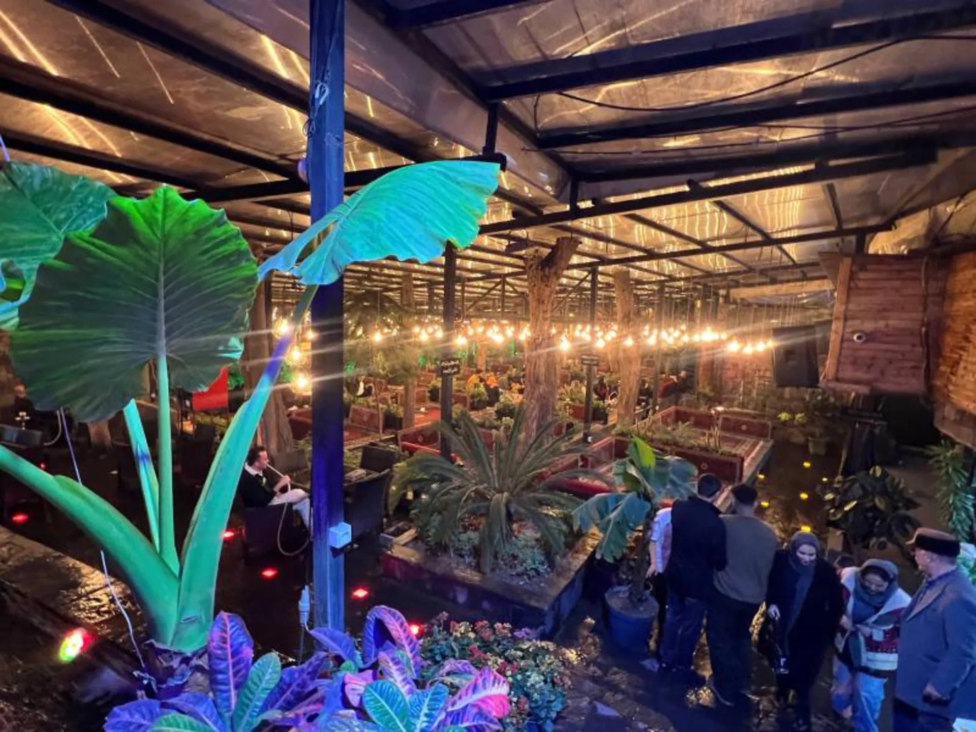 The open space of Farahzad Shkoufeh restaura garden