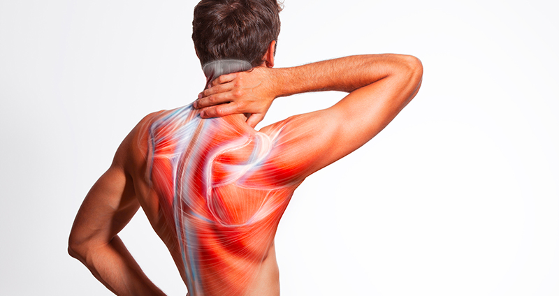 What should we eat for body pain?
